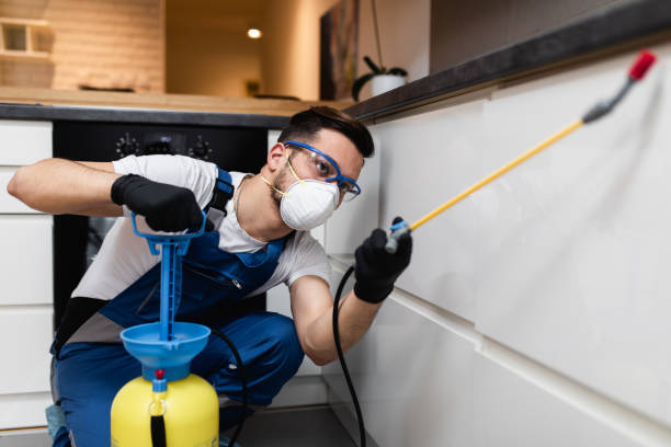 Best Flea Control Services  in Pawnee, OK