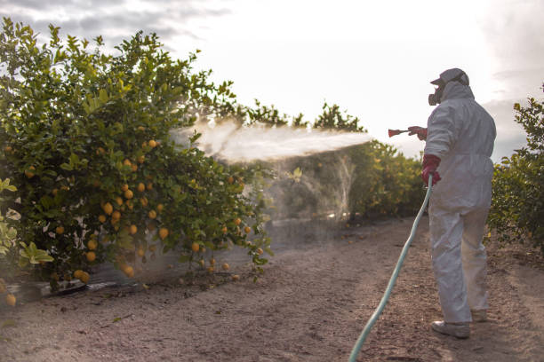 Best Best Pest Control Companies  in Pawnee, OK