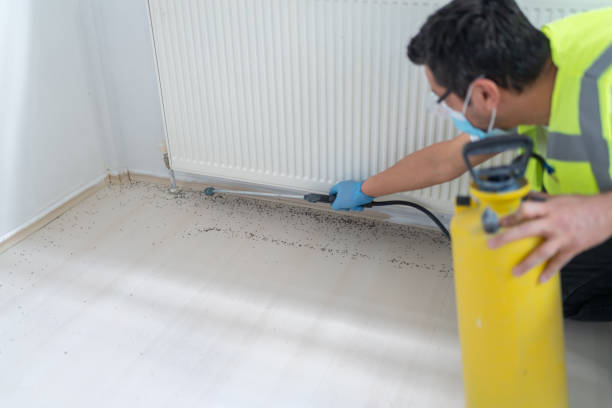 Best Termite Control Services  in Pawnee, OK